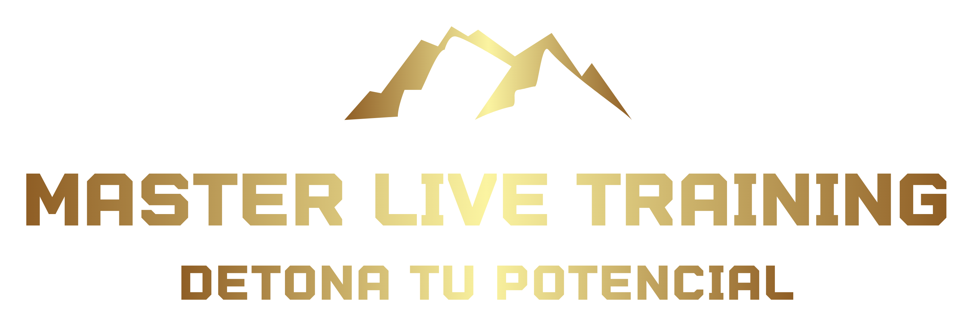 logo Master Life Training
