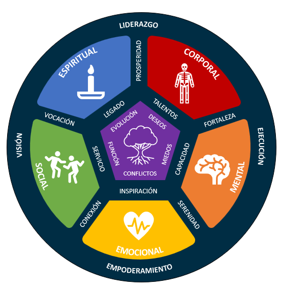 MLT - MASTER LIVE TRAINING